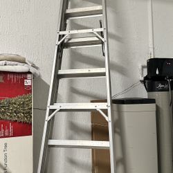 8ft Ladder 