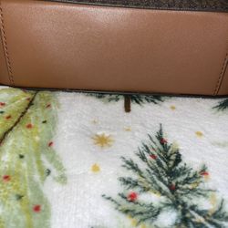 Michael Kors Small Messenger Purse 