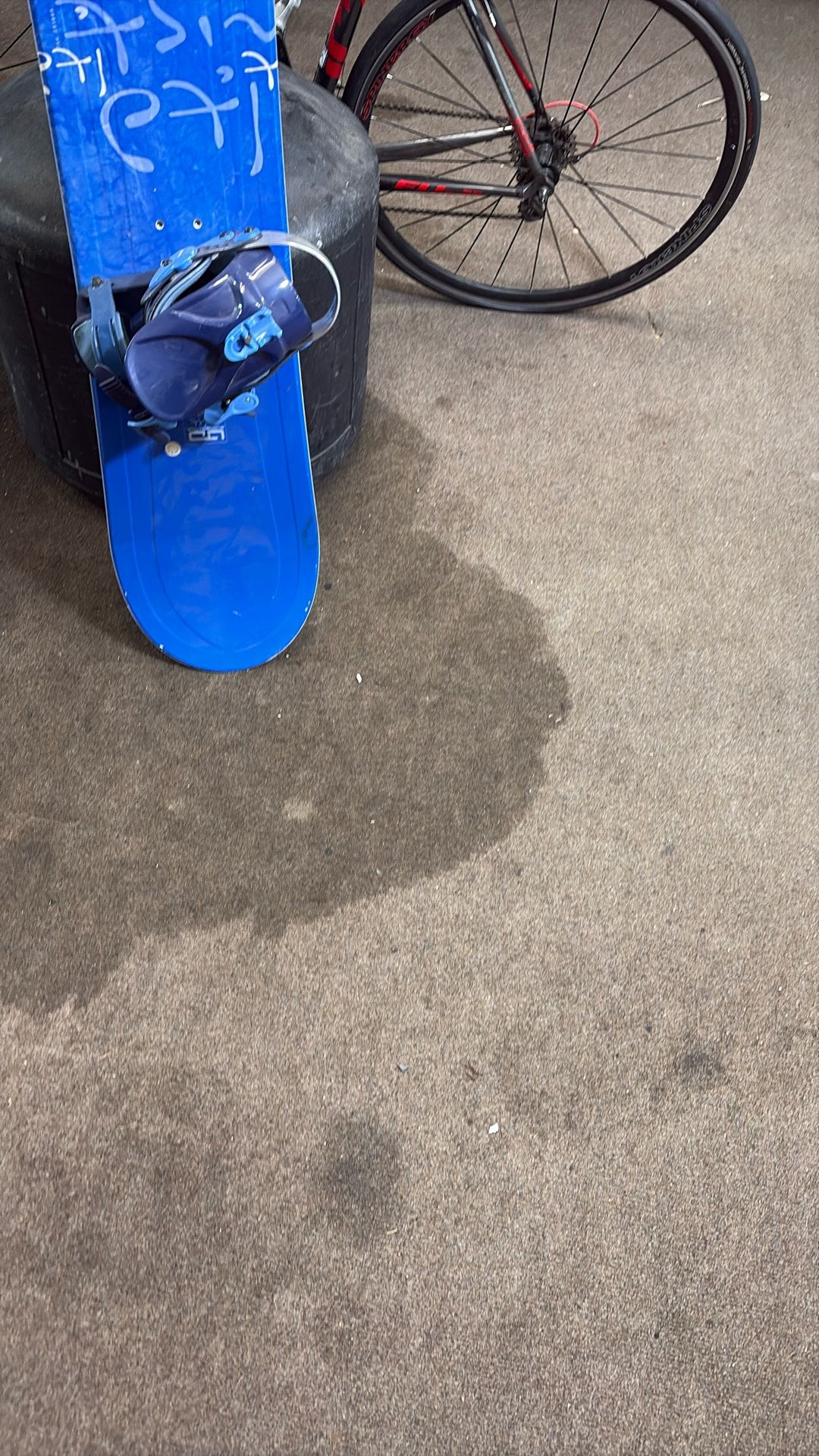 Ltd Canadian Snowboard And Binding Good Shape