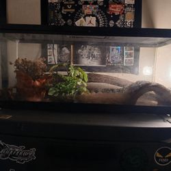 2feet 6inch Tank For Sale In Great Condition 