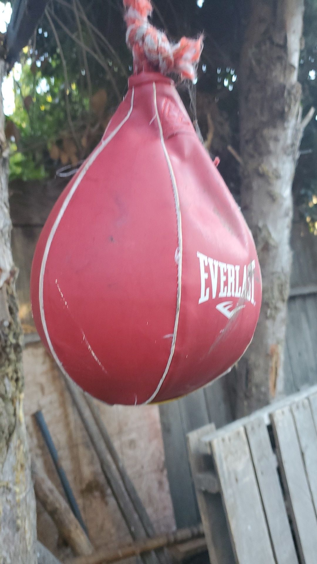 Speed bag