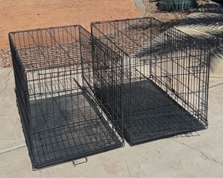Medium Dog Kennels