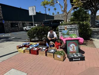 Handcrafted Dog Bowl Stand