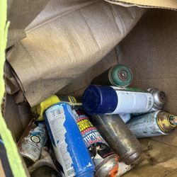 10 Cans Of Spray Paint $10
