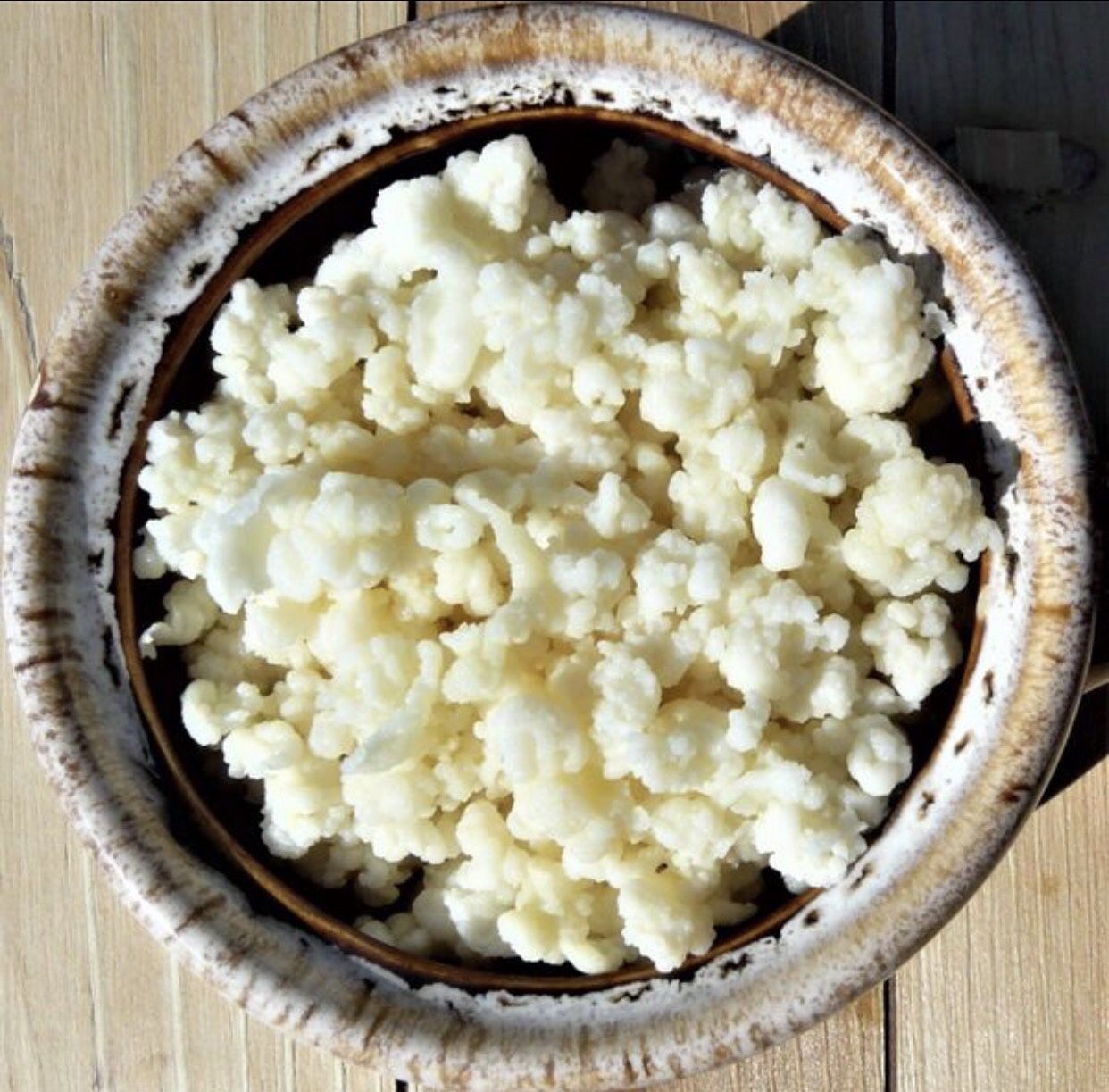 Milk Kefir grains, builds gut health!