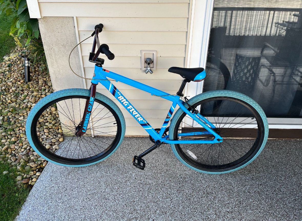 Big Flyer SE 29 Inch