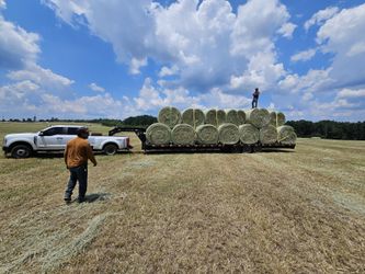 Hay