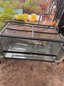 40g Terrarium