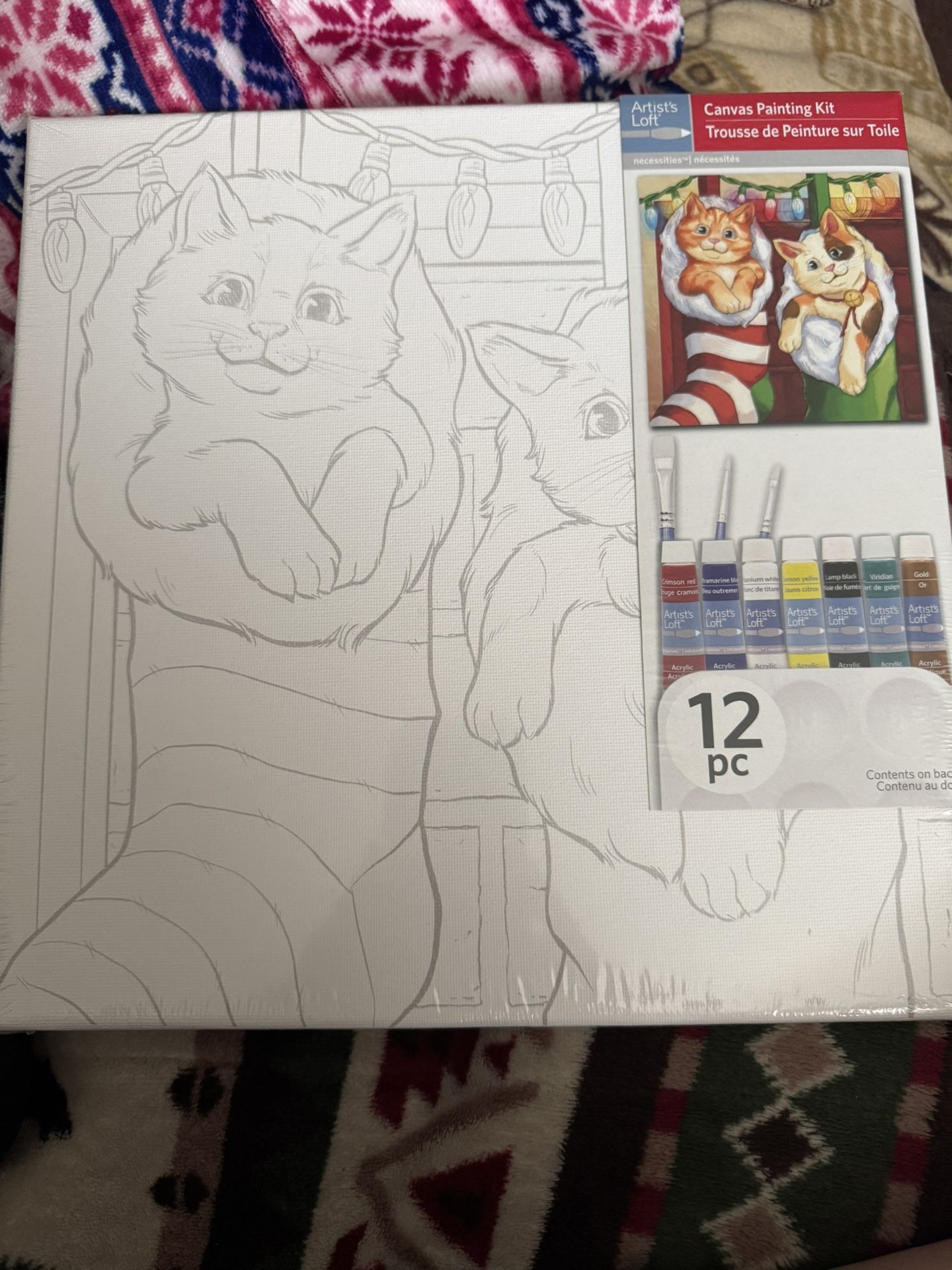 Canvas Painting Kit