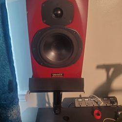 2 Tonnoy reveal Passive Monitors with Stand and Foam and Amp