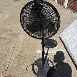 Fan