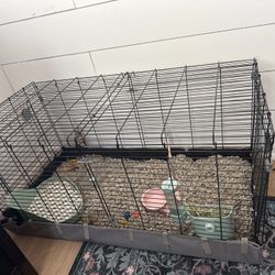 Rabbit or Guinea Pig Habitat