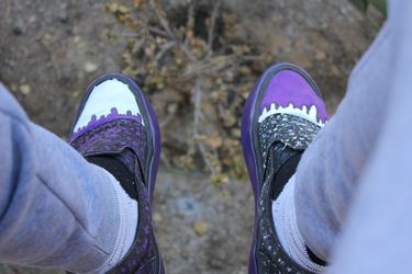 Sacramento Kings themed shoes