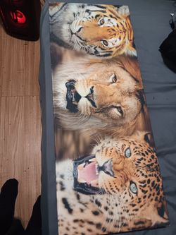 Tiger, Lion, Cheetah Canvas Art Work