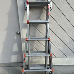 Little Giant Ladders REX Aluminum Extendable Ladder with Ratchet Levelers