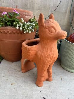 Burro terracotta planter