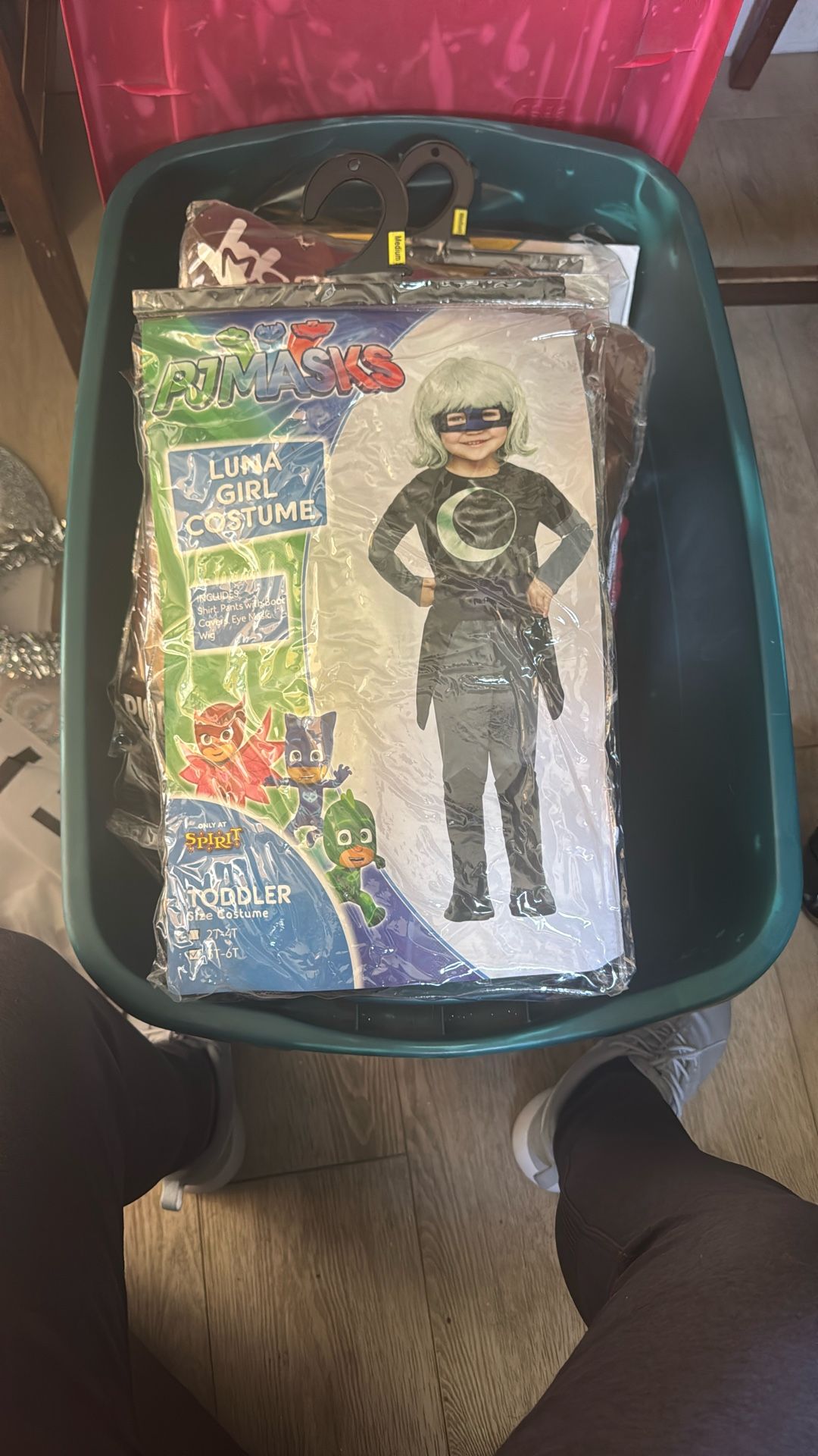 Luna Girl Costume