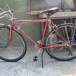 Fixie Bike