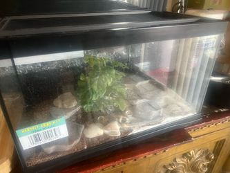 Hermit crab enclosure