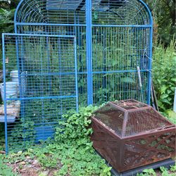 Big bird cage