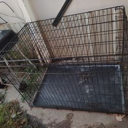 Large Dog Cage