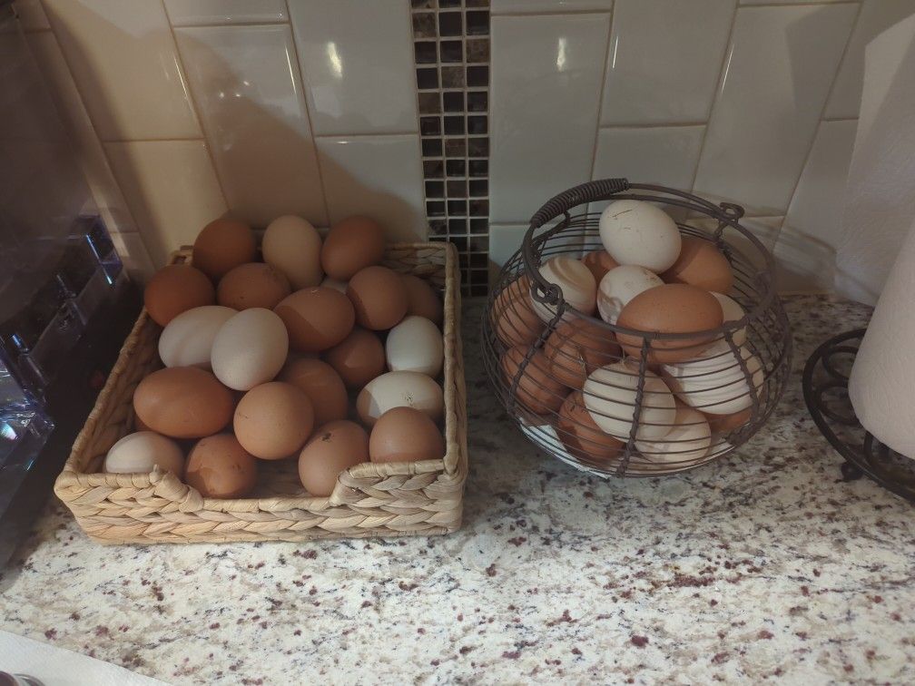 Farm Fresh Chicken Eggs! Available Now 11/22/23