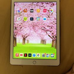 iPad Air 2