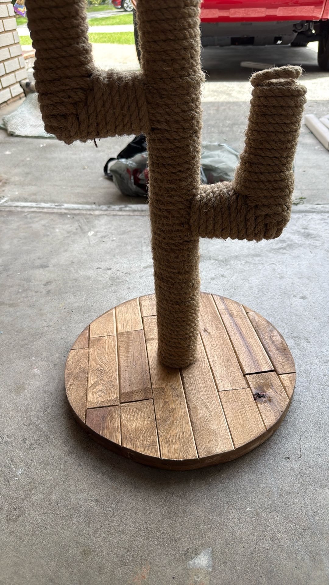 Scratching Post Cat