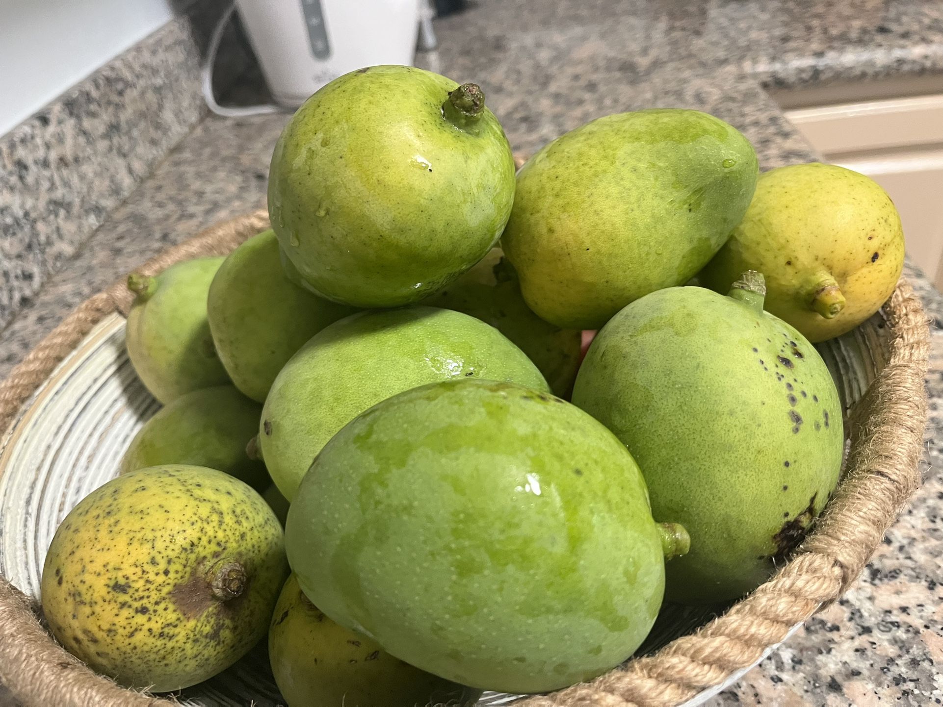 Mangoes for Sale in West Palm Beach, FL OfferUp