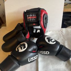 Karate Sparing Gear Youth Size Small