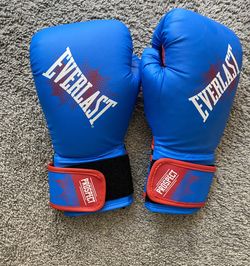 Pair of Everlast Prospect Youth Boxing Gloves