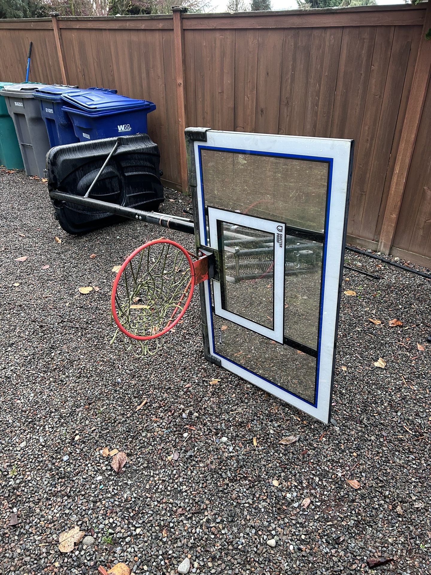 Lifetime Basketball Hoop