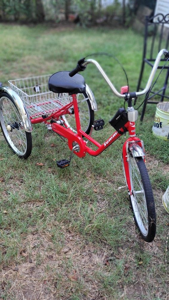 3 Wheel Bicycle 