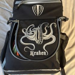 Disc Golf Bag And 22 Discs 