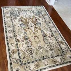 Area rug 4 x 6