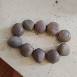 Sea Beans