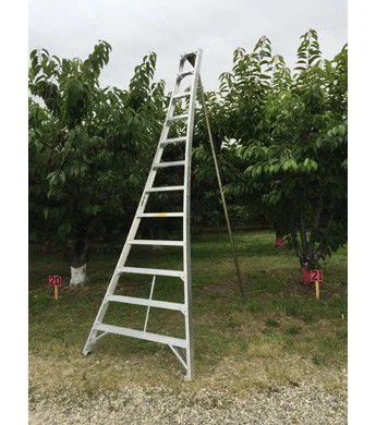 12ft tallman tripod orchard ladder