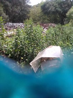 Craftman×3 weedclearing (contact info removed)