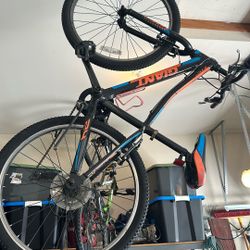 Giant bike 