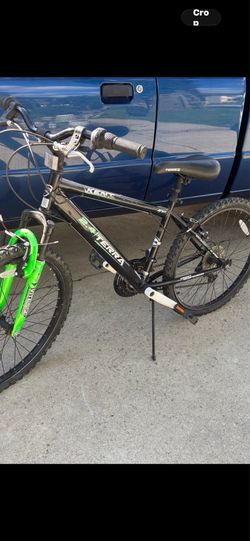 Kent 24” mountain bike $120