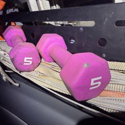 2 nice 5 pound dumbbells