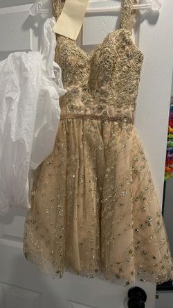 Brand New Champagne Gold Dama Dress