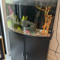 32 Gallon Fish Tank