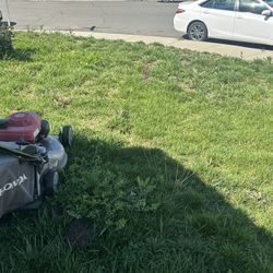 Gardener