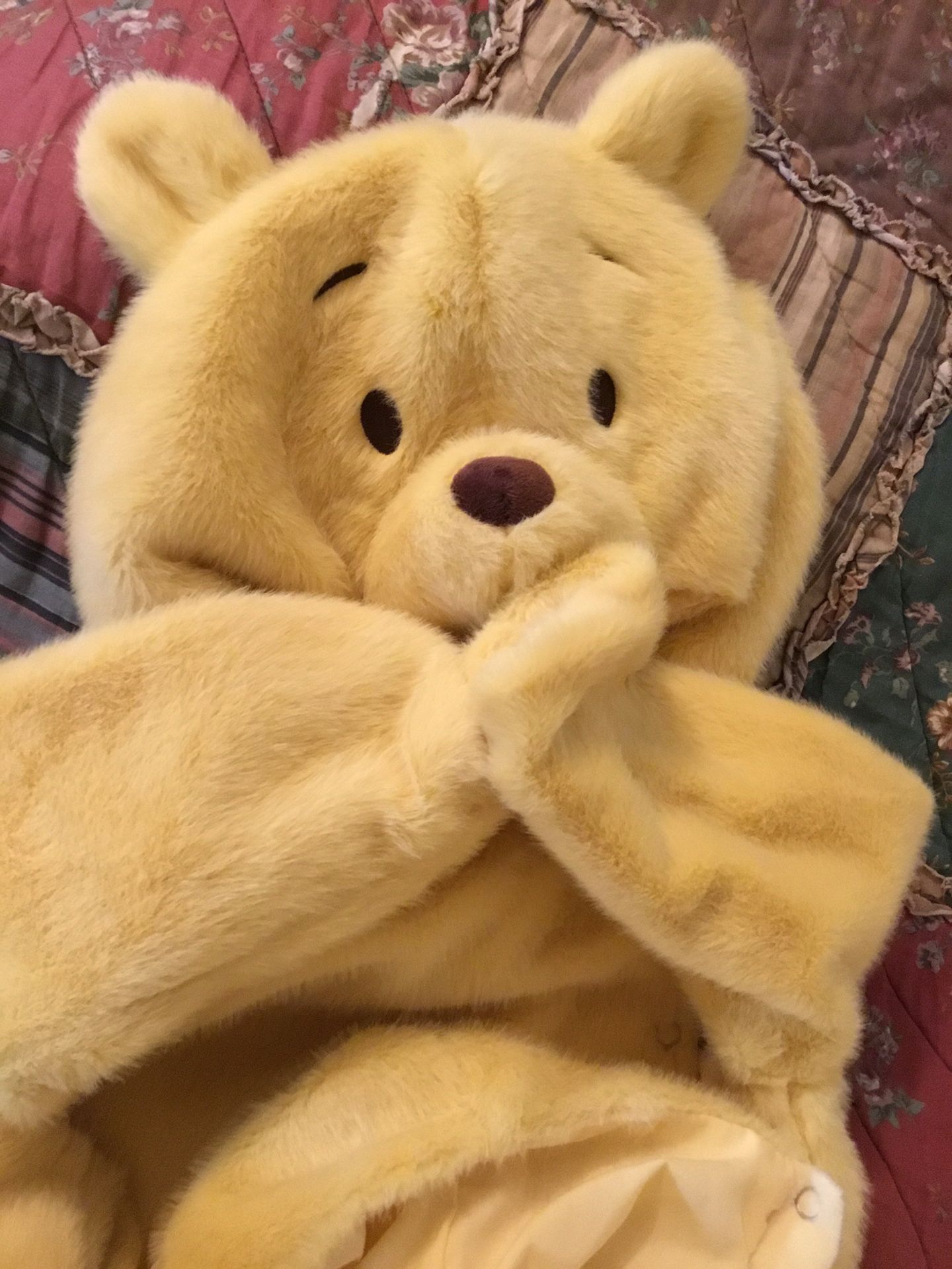 Disney Pottery Barn kids Halloween Costume - Winnie The Pooh Bear 12-24 Months