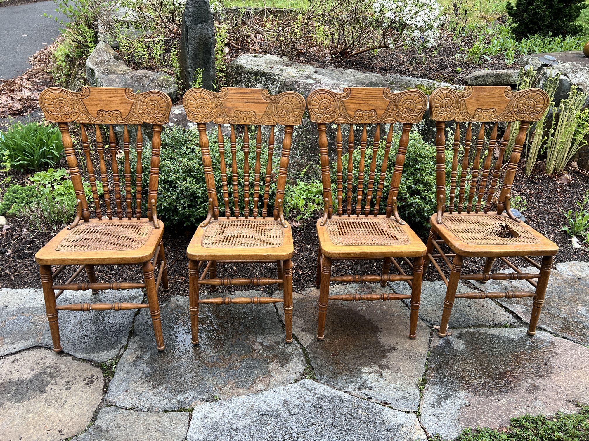 FREE Beautiful Wood Dining Room Chairs