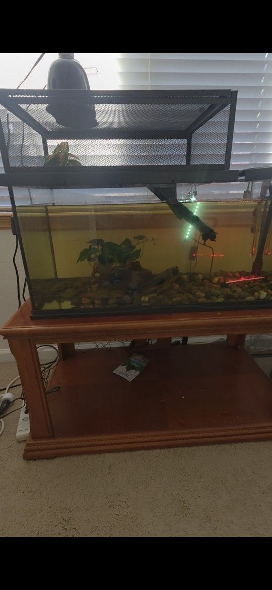 Fish Tank With Pump And Misc For Turtles & Fish