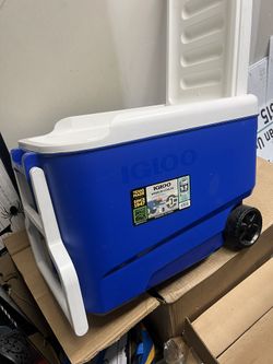 Igloo Cooler 38 Quarts