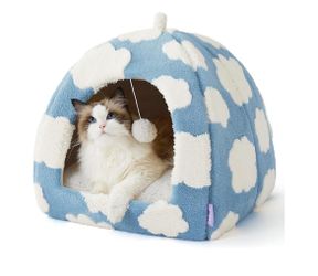 Pet bed