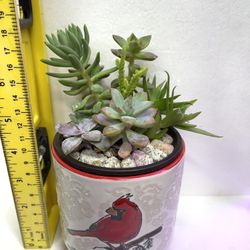 🎁🎄Succulent flower arrangement for Christmas In Beautiful Ceramic Pot 4"H.